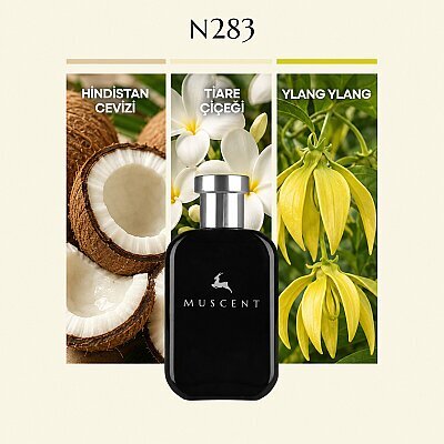 N283 Coco Vaniglia - MUSCENT
