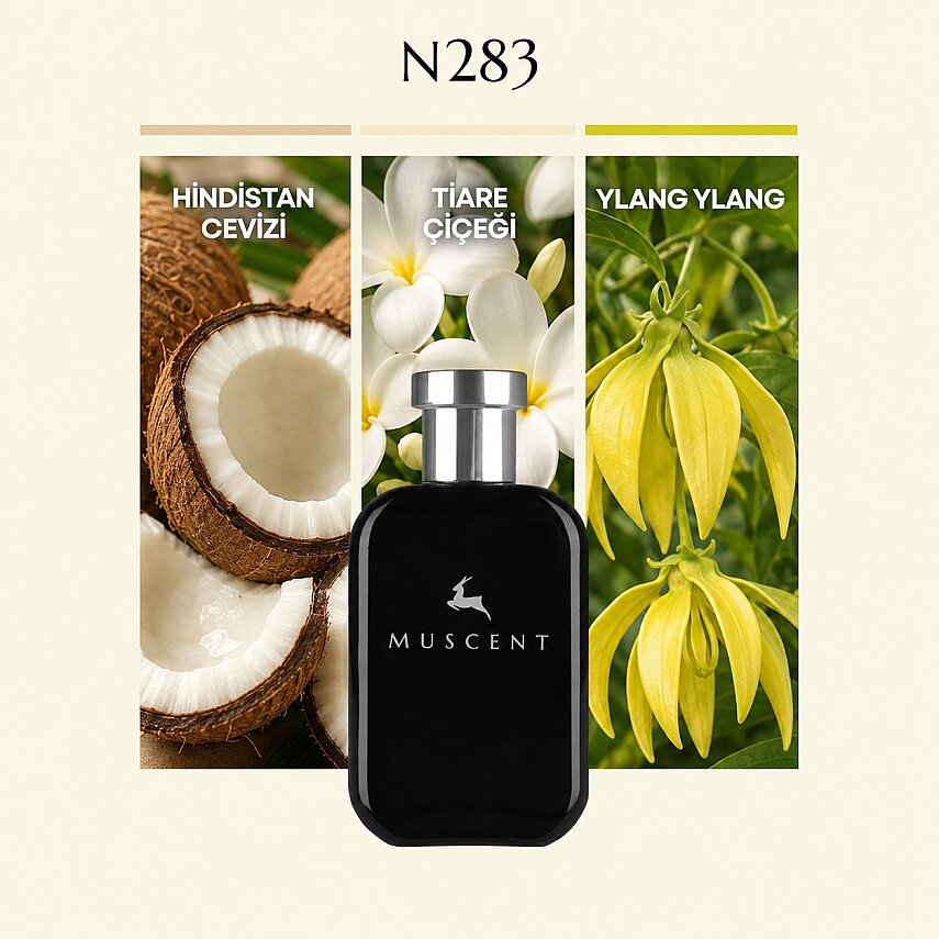 N283 Coco Vaniglia - 1