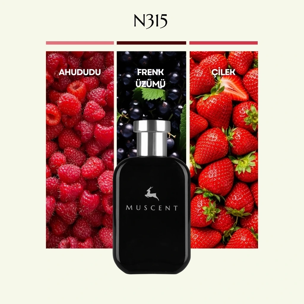 N315 Rouge Traf