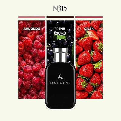 N315 Rouge Traf - MUSCENT (1)