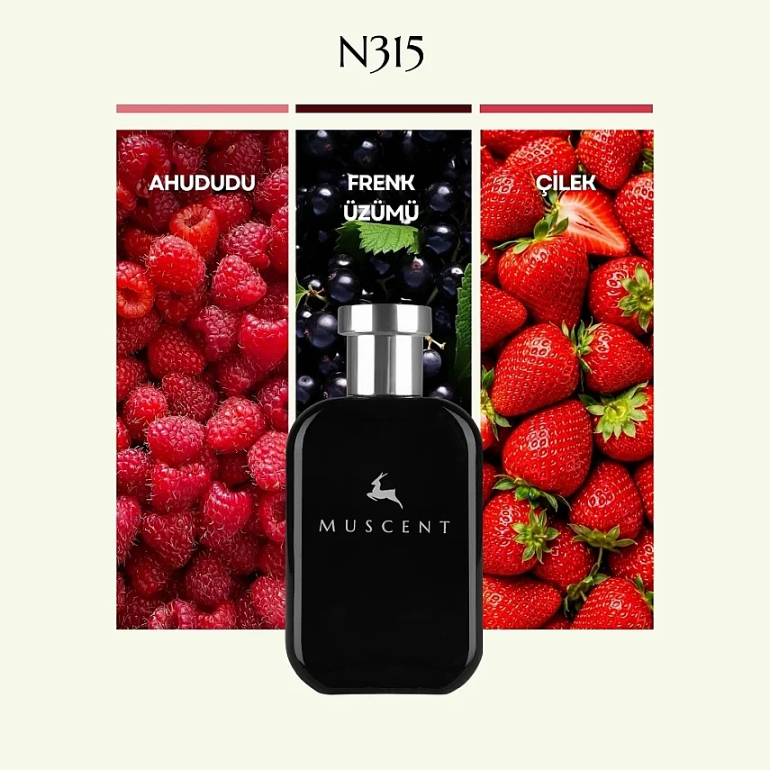 N315 Rouge Traf - MUSCENT