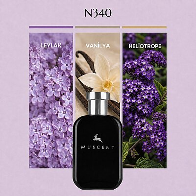 N340 Lilac L - MUSCENT