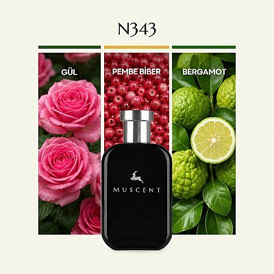 N343 Atomic Rosee - MUSCENT