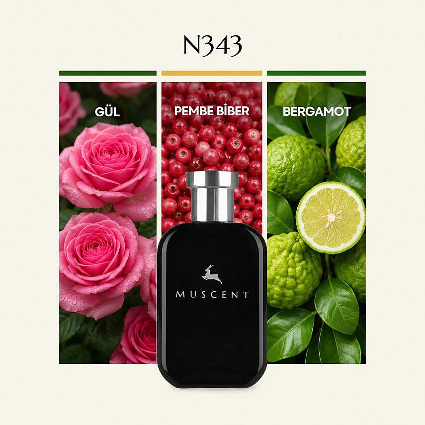 N343 Atomic Rosee - 1