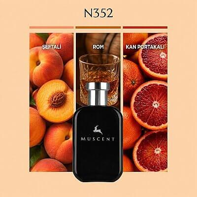 N352 Bit Peach - MUSCENT