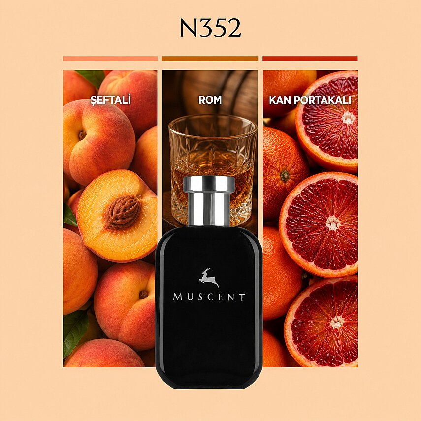 N352 Bit Peach - 1
