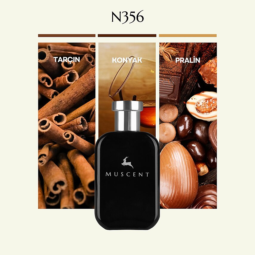 N356 Angle s Share - 1