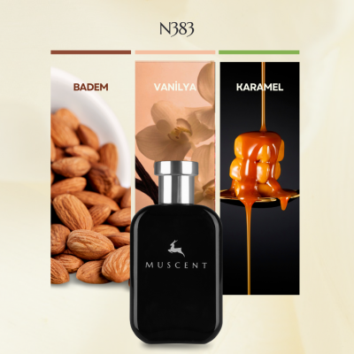 N383 Italyica - MUSCENT (1)