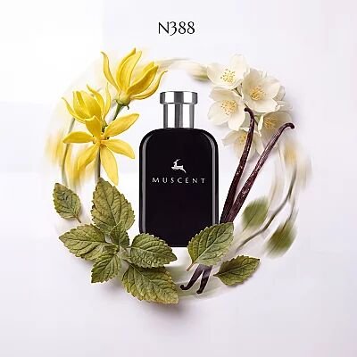 N388 Llibela - 1