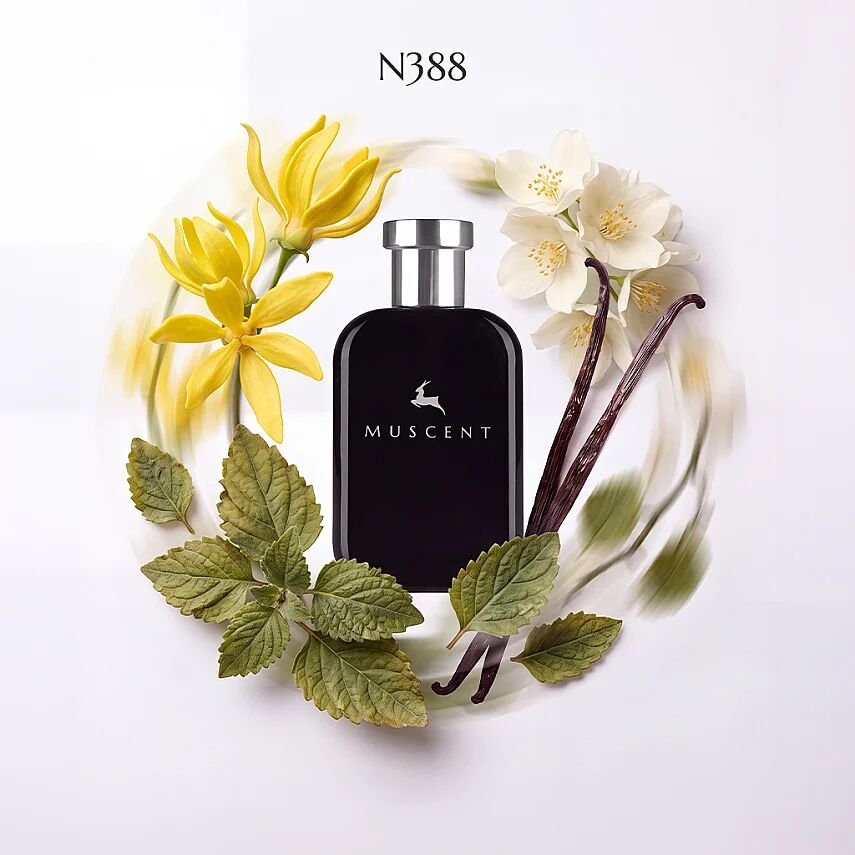 N388 Llibela - MUSCENT