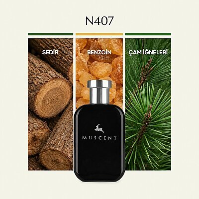 N407 Heero - MUSCENT