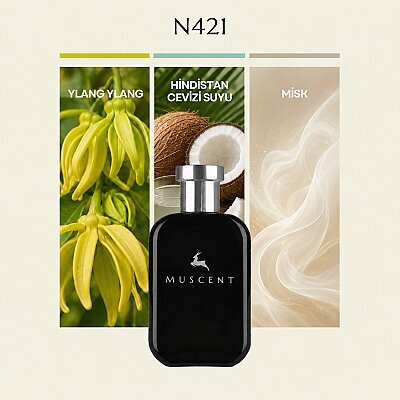N421 Beach W - MUSCENT