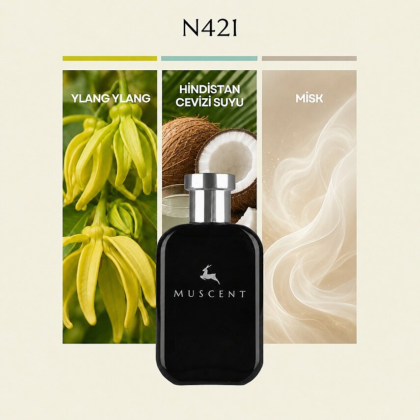 N421 Beach W - 1