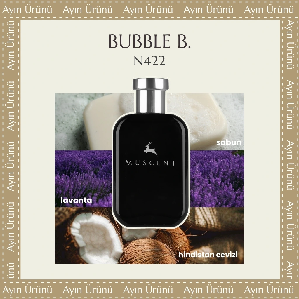 N422 Bubble B