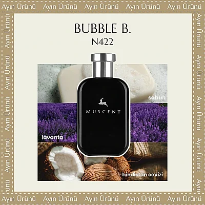 N422 Bubble B - 1