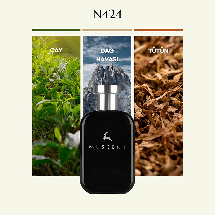 N424 Mtabaco Int - 1