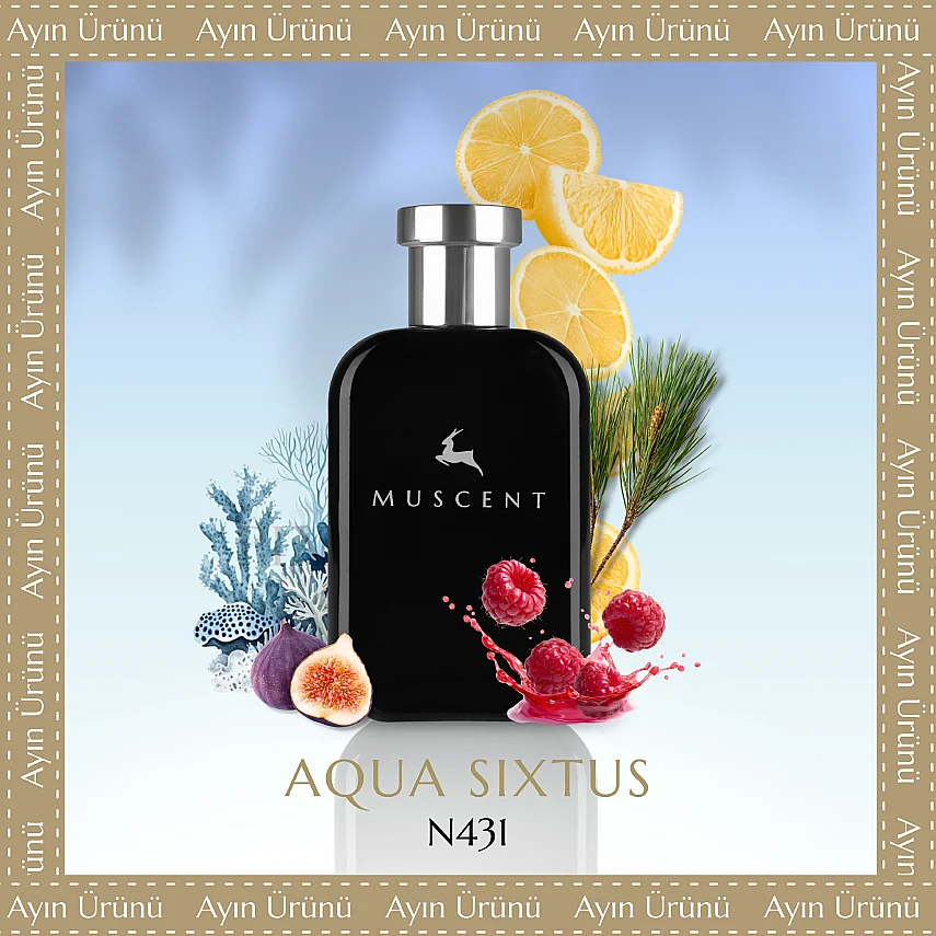N431 Aqua Sixtius - MUSCENT