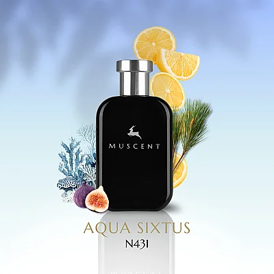 N431 Aqua Sixtius - 1