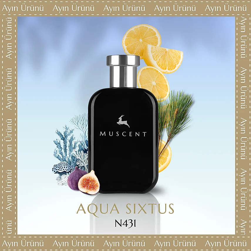 N431 Aqua Sixtius - 1