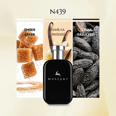 N439 Vanille 28 - 3