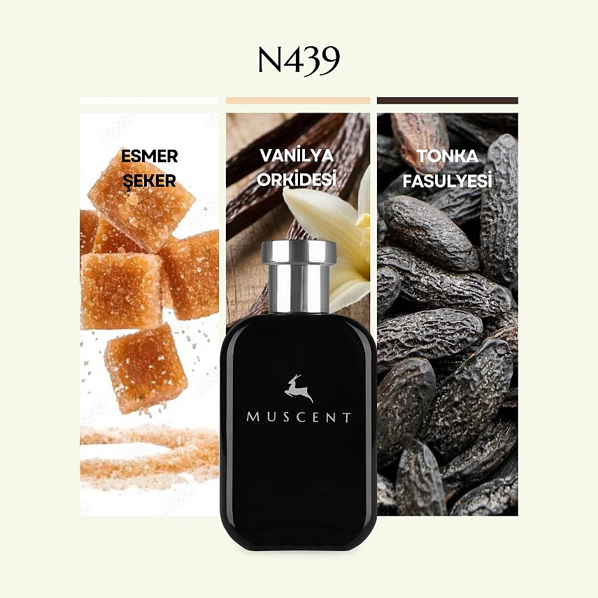 N439 Vanille 28 - 1