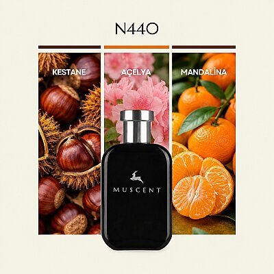 N440 Azaleya - MUSCENT