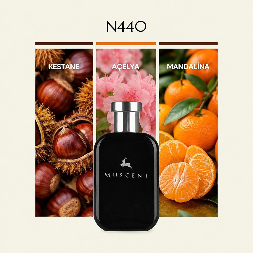 N440 Azaleya - 1