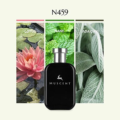 N459 Herbal Aqua - MUSCENT
