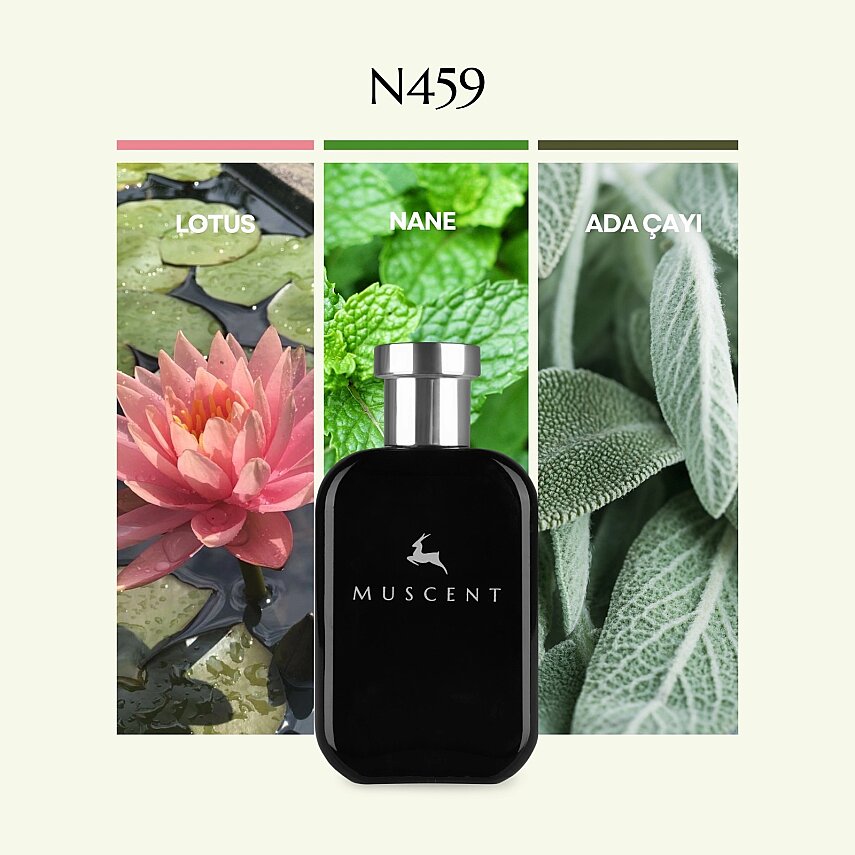 N459 Herbal Aqua - 1