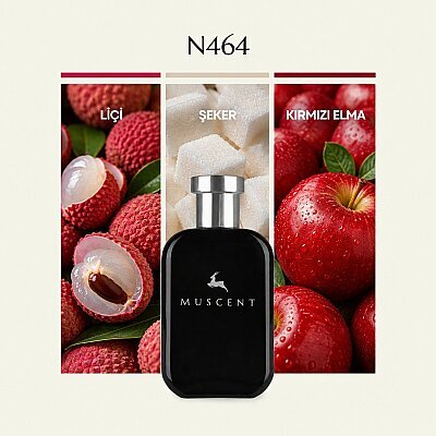 N464 Spark Lychee - MUSCENT