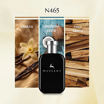 N465 Van Powder - 3