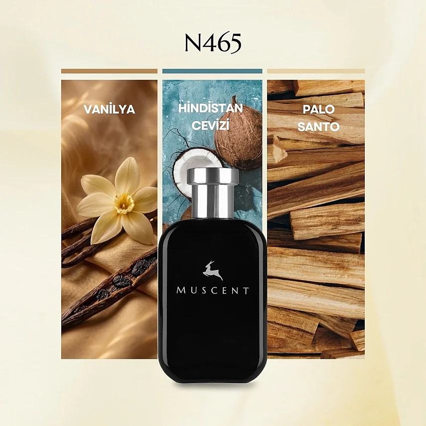 N465 Van Powder - 3