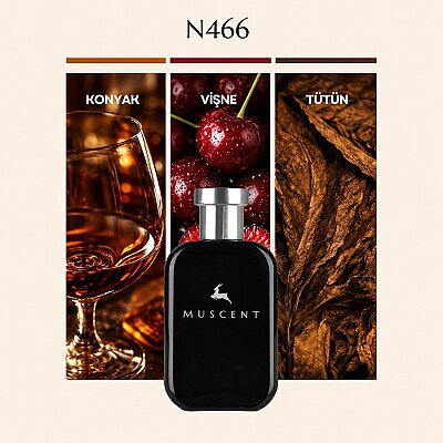 N466 Nar Delight - MUSCENT