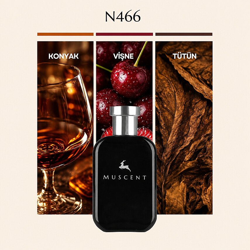 N466 Nar Delight - 1