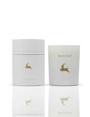 Vanilla Musk Mum - 1