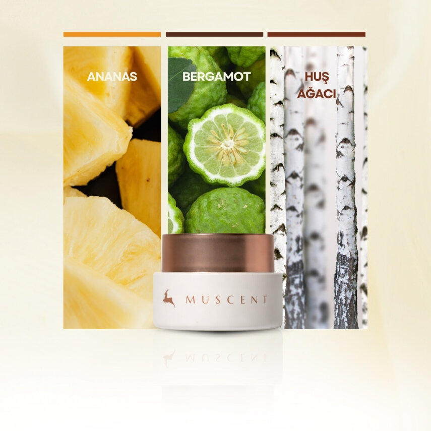 Woody Chypre Solid Krem Parfüm - 2