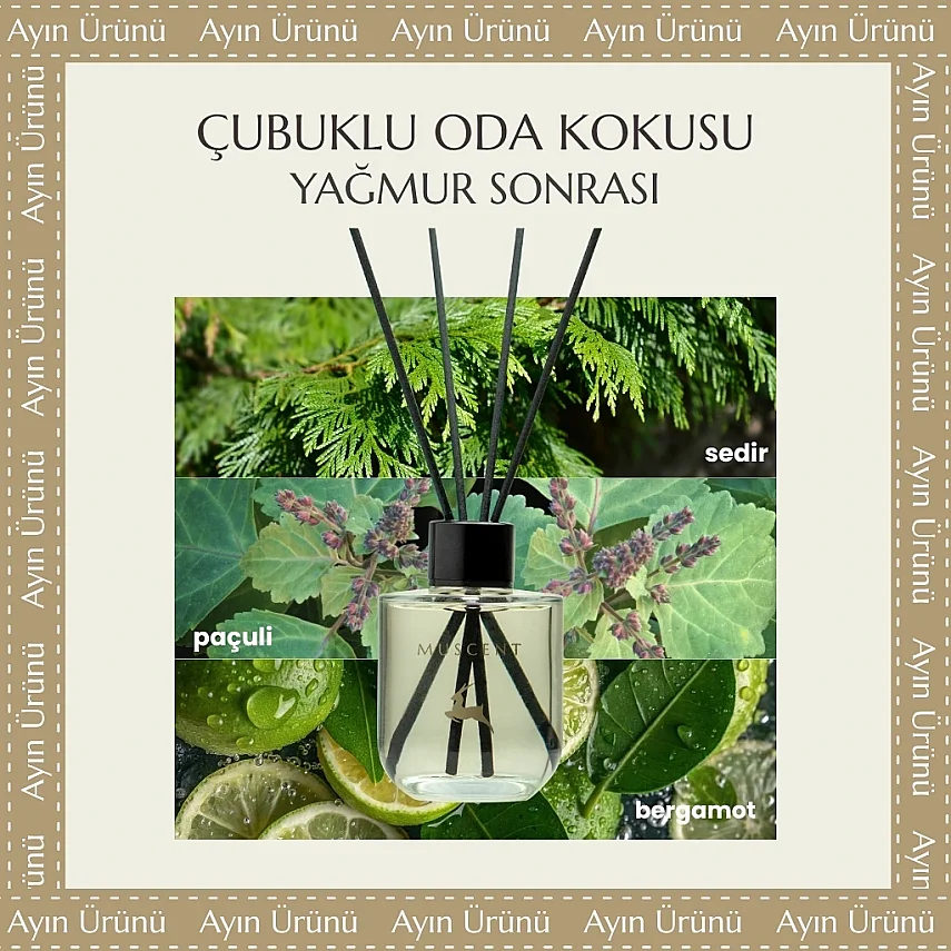 Yağmur Sonrası Çubuklu Oda Kokusu - 1